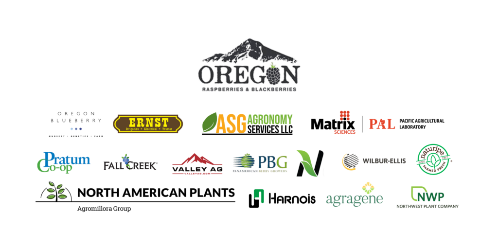 image is not available